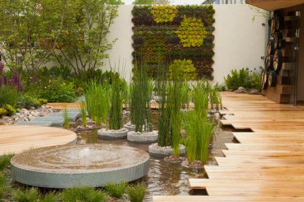 內蒙古苗木銷售 內蒙古苗木銷售